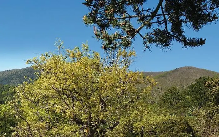 Oda ve Kahvaltı Le Mapillon 3*